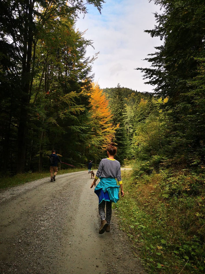 Beskid break ...